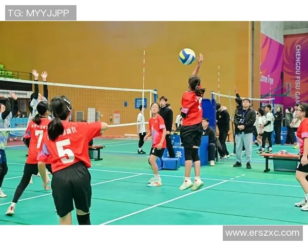 排球纪实:记录成都排球队的逆袭之旅